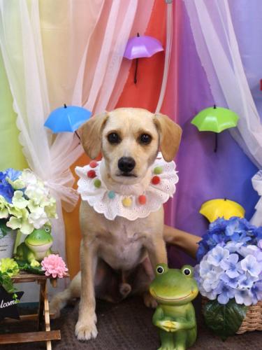 20230613ユキチくん